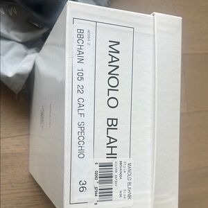 Manolo Blahnik Calf Specchio Shoes